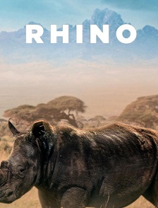 Rhino