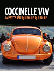 Coccinelle VW, la petite bête qui roule, qui roule...