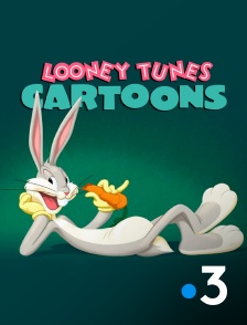 France 3 - Looney Tunes Cartoons