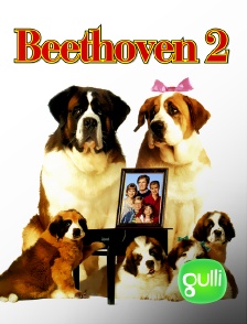 Beethoven 2