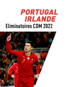 Football - Eliminatoires de la Coupe du Monde groupe A : Portugal / Irlande