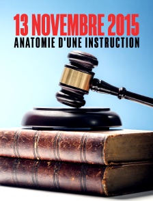 13 novembre 2015 : anatomie d'une instruction
