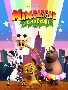 Madagascar: A Little Wild