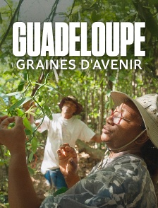 Guadeloupe : graines d'avenir
