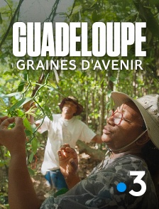 France 3 - Guadeloupe : graines d'avenir