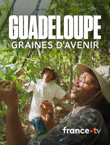 france.tv - Guadeloupe : graines d'avenir
