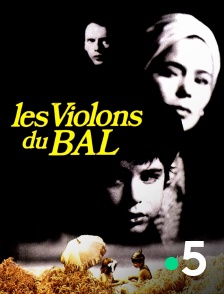 France 5 - Les violons du bal