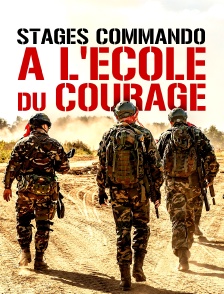 Stages commando, à l'école du courage