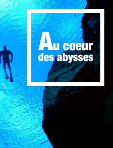 Au coeur des abysses