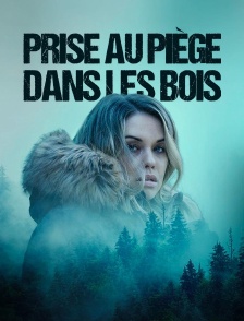 Prise au piège dans les bois