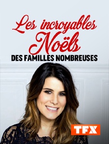 Les incroyables noëls des familles nombreuses