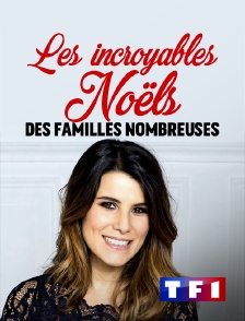 TF1 - Les incroyables noëls des familles nombreuses