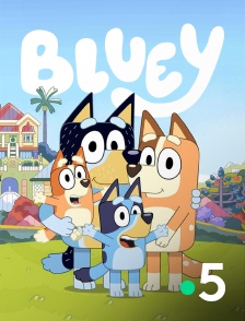 France 5 - Bluey