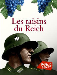 Public Sénat - Les raisins du Reich