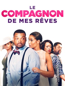 Le compagnon de mes rêves