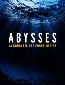 Abysses, la conquête des fonds marins