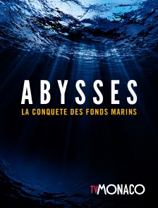 Abysses, la conquête des fonds marins