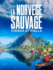 La Norvège sauvage - Fjords et Fiells