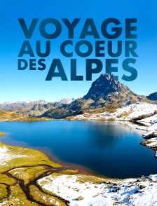 Voyage au coeur des Alpes