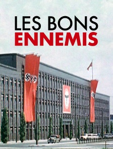 Les bons ennemis