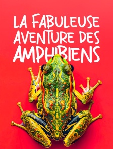 La fabuleuse aventure des amphibiens