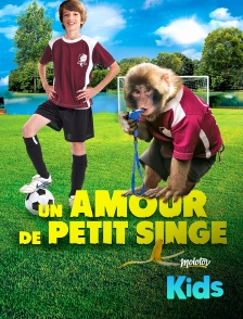 Un amour de petit singe