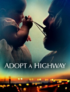 Adopt a Highway