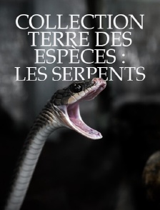 Collection Terre des espèces : les serpents
