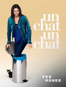 TV5MONDE - Un chat un chat