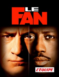 L'Equipe - Le fan