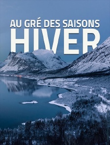 Au gré des saisons : Hiver