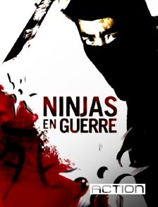 ACTION - Ninjas en guerre
