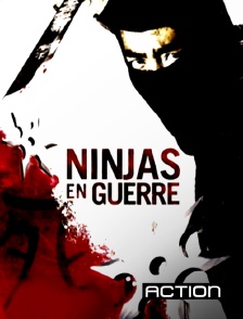 Ninjas en guerre