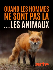 Arte - Quand l'homme n'est pas là... les animaux