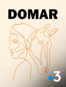 France 3 - Domar