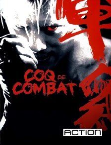 ACTION - Coq de combat