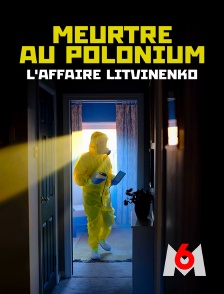 Meurtre au polonium - L'affaire Litvinenko