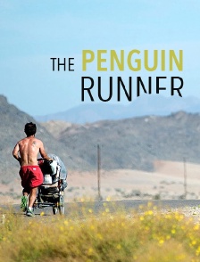 The Penguin Runner