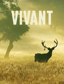 Vivant