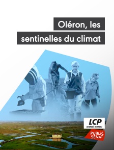 Oléron, les sentinelles du climat