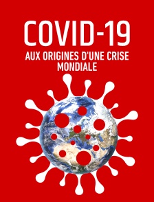 Covid-19 : aux origines d'une crise mondiale