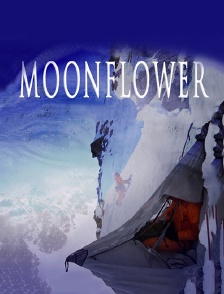 Moonflower