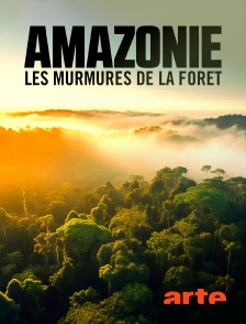 Arte - Amazonie : les murmures de la forêt