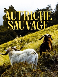 Autriche sauvage