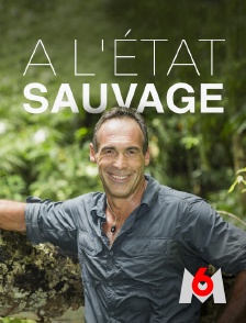 M6 - A l'état sauvage