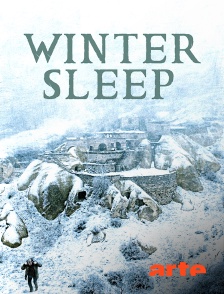 Winter sleep