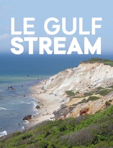 Le Gulf Stream