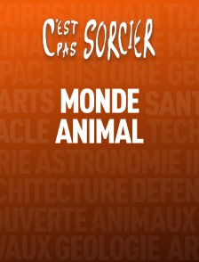 C'est pas sorcier : Monde animal