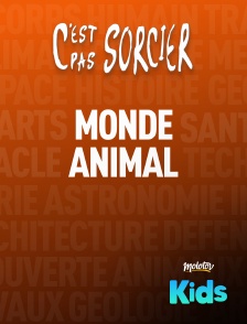 C'est pas sorcier : Monde animal