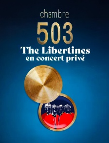 Chambre 503 - The Libertines en concert privé